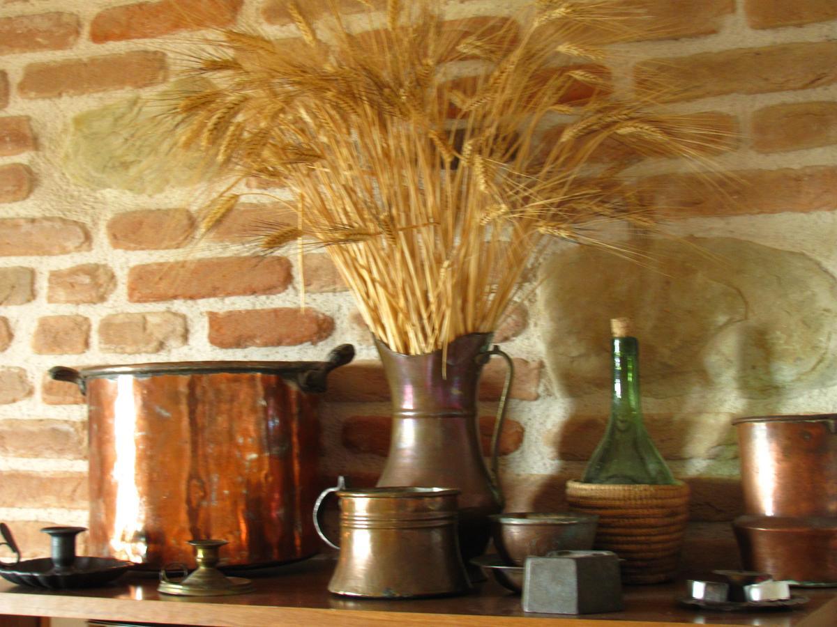 Agriturismo Bacchiocchi Acomodação com café da manhã Orciano di Pesaro Exterior foto